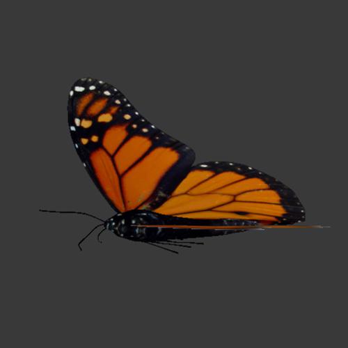 Butterfly animation using Animation Nodes preview image